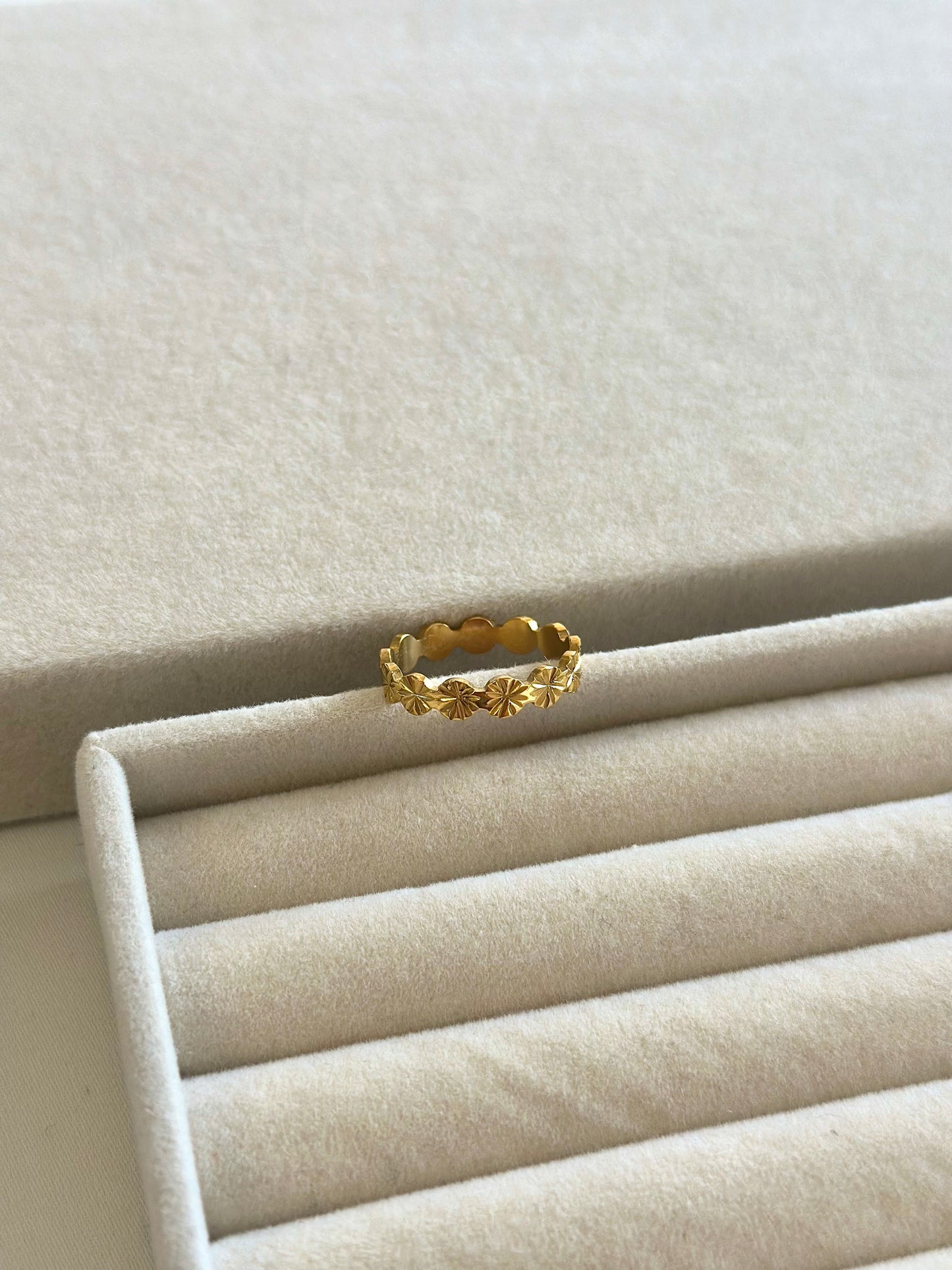 AVIDA RING