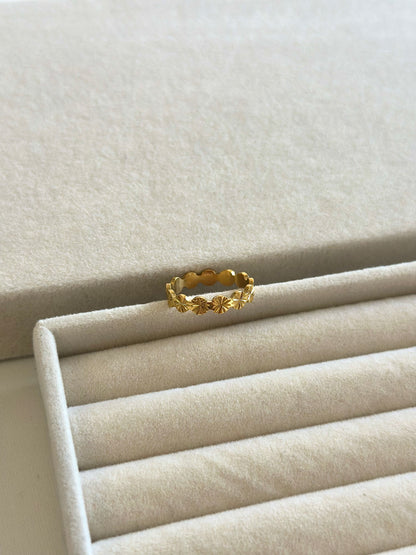 AVIDA RING